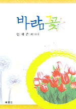 바람꽃