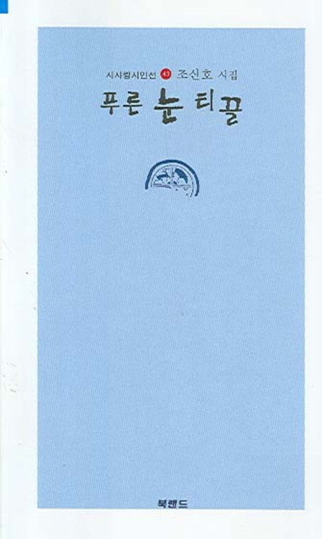 푸른 눈 티끌(시사랑시인선 43)