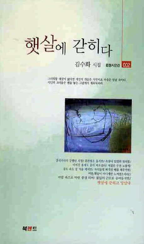 햇살에 갇히다(문장시인선 2)