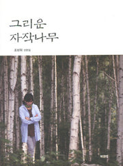 그리운 자작나무