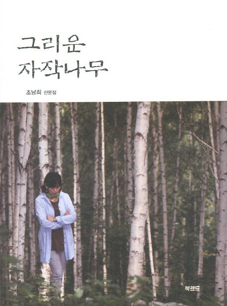 그리운 자작나무