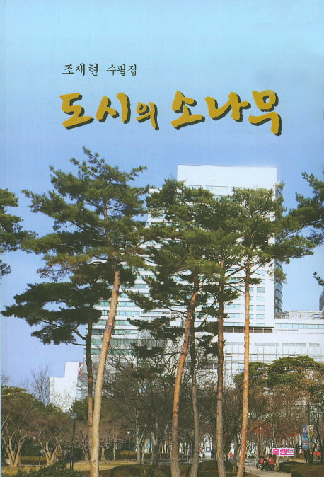 도시의 소나무