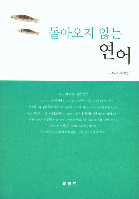 돌아오지 않는 연어