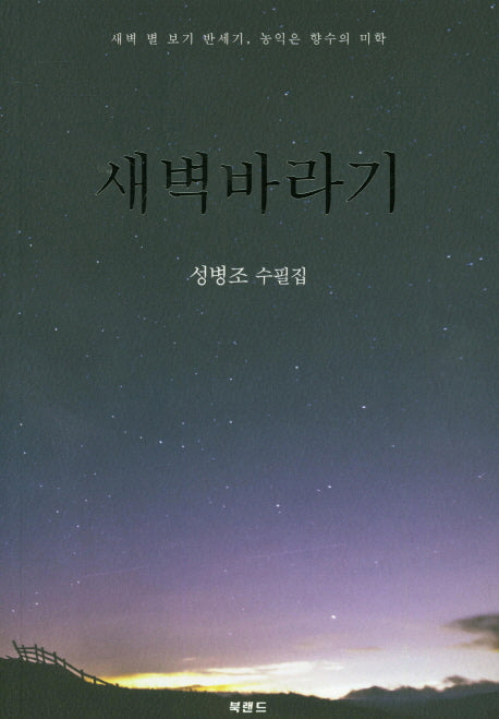 새벽바라기
