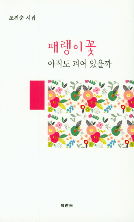 패랭이 꽃 아직도 피어 있을까
