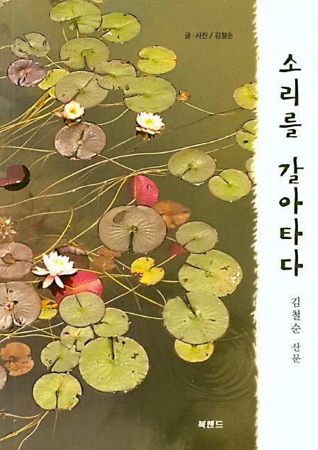 소리를 갈아타다