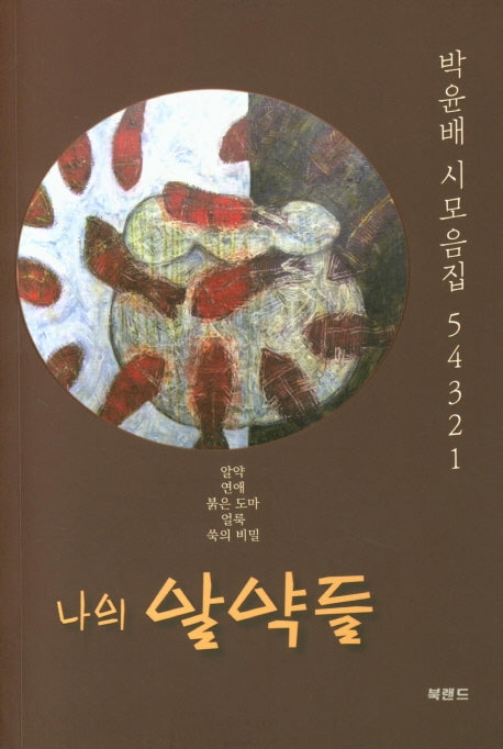 나의 알약들