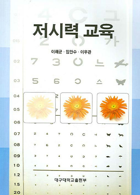 저시력 교육