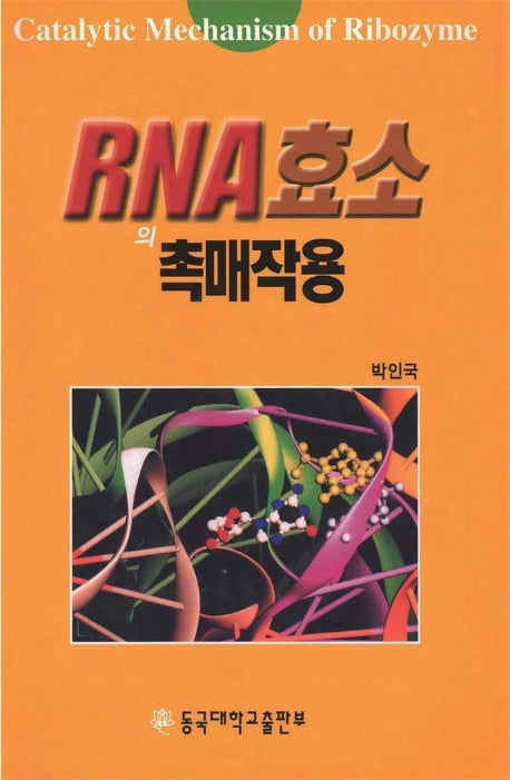 RNA 효소의 촉매작용