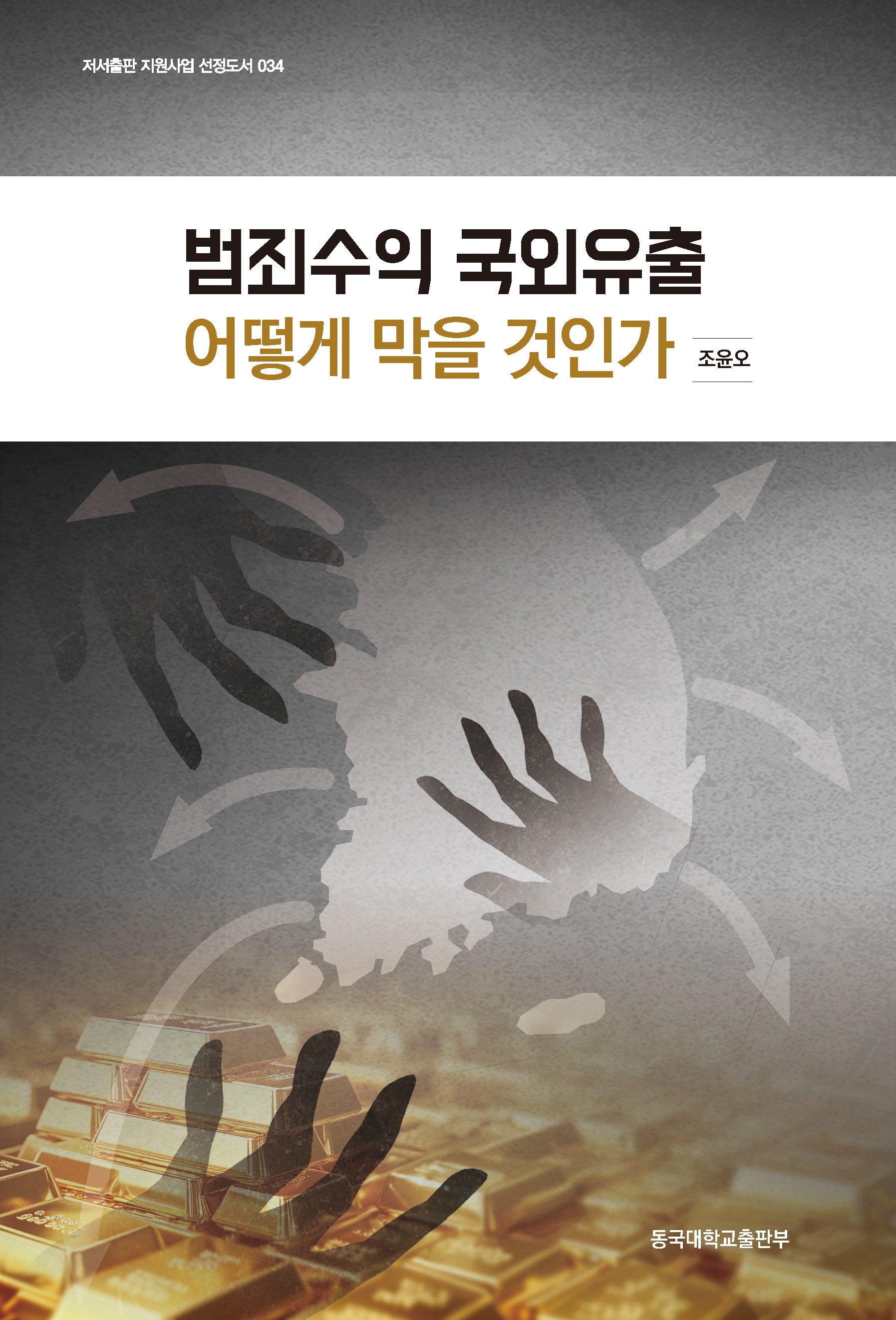 범죄수익 국외유출 어떻게 막을 것인가(저서출판 지원사업 선정도서 34)(저서출판 지원사업 선정도서 34)