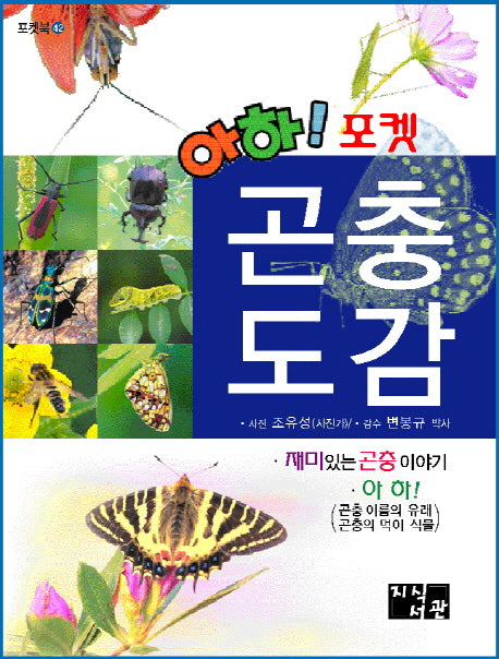 곤충도감(아하 포켓)(포켓북 42)