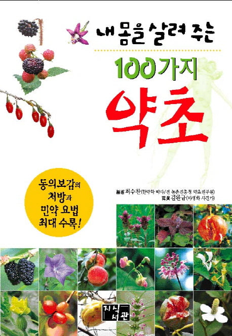 내 몸을 살려주는 100가지 약초(양장본 Hardcover)