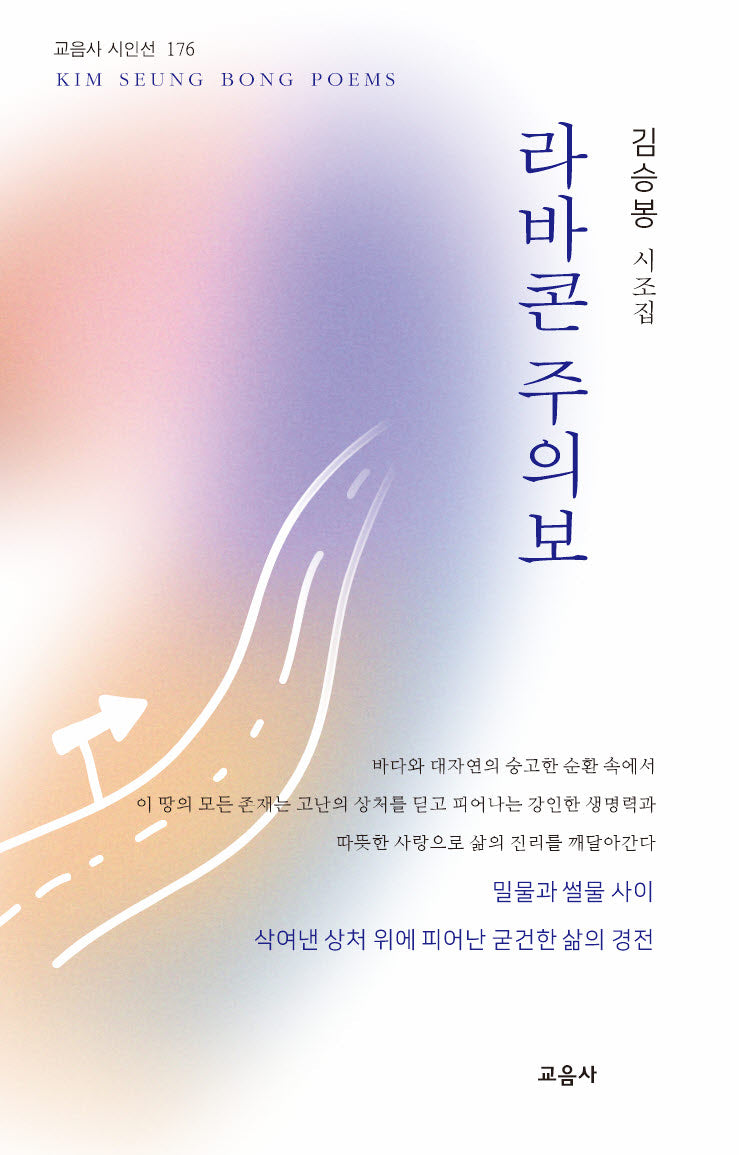 라바콘 주의보(교음사 시인선 176)