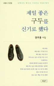 제일 좋은 구두를 신기로 했다(교음사 시선집)