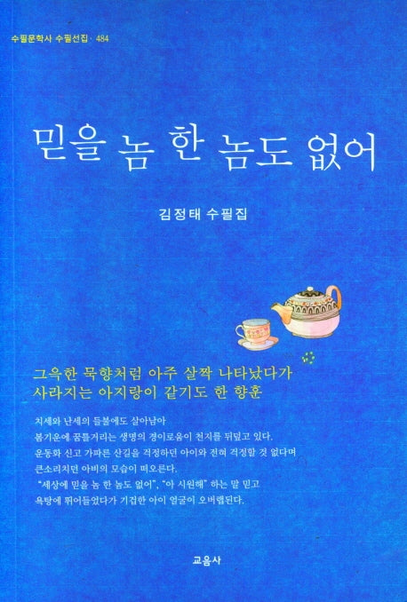 믿을 놈 한 놈도 없어(수필문학사 수필선집 484)