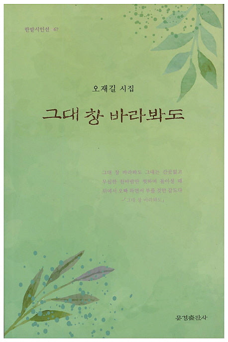 그대 창 바라봐도(한밭시인선 67)