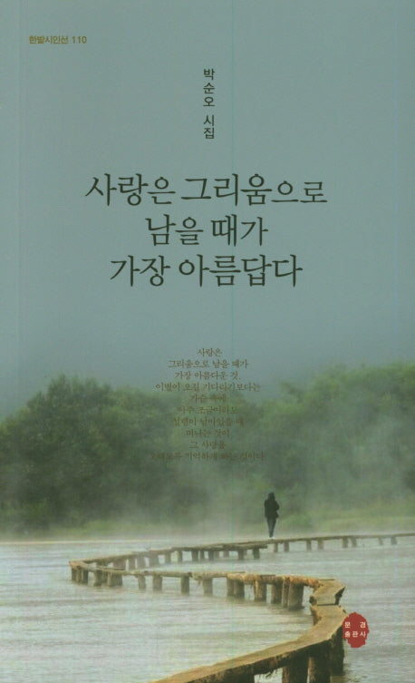 사랑은 그리움으로 남을 때가 가장 아름답다(한밭시인선 110)