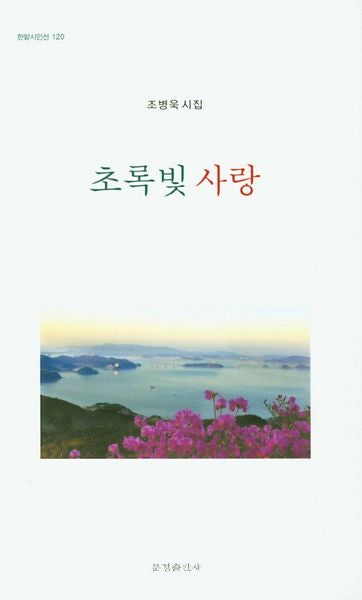초록빛 사랑(한밭시인선 120)