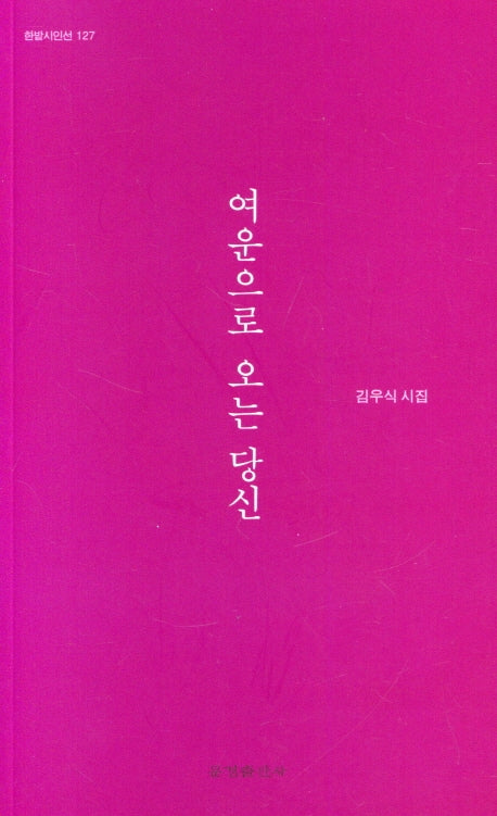 여운으로 오는 당신(한밭시인선 127)