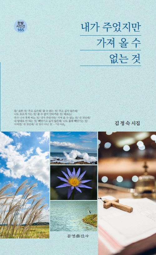 내가 주었지만 가져 올 수 없는 것(한발 시인선 165)