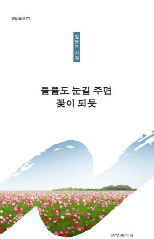들풀도 눈길 주면 꽃이 되듯(한밭시인선 174)