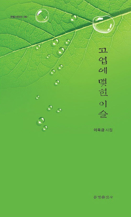 고엽에 맺힌 이슬