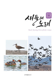 새들의 노래