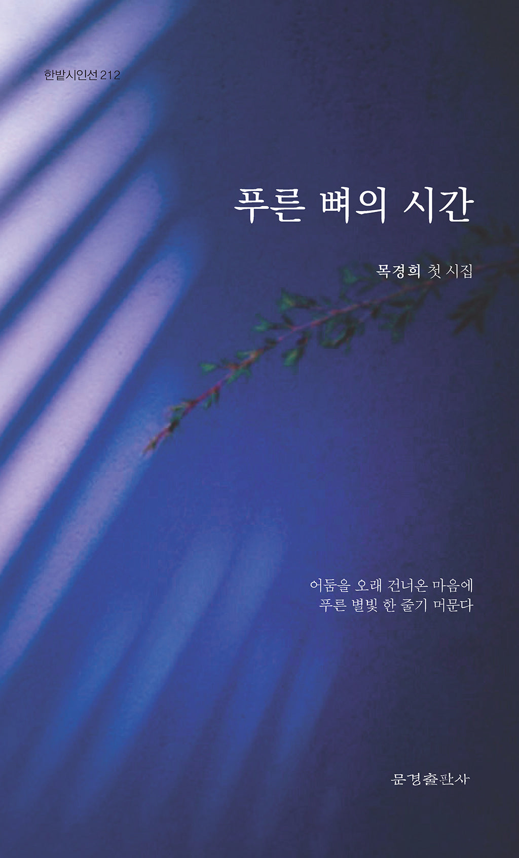 푸른 뼈의 시간