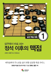 정석 이후의 맥점(실전에서 바로 쓰는)(프로메게 배우는 실전 맥점 바둑 1)