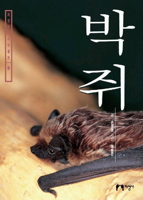 박쥐(지성자연사박물관 3)
