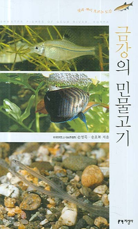 금강의 민물고기