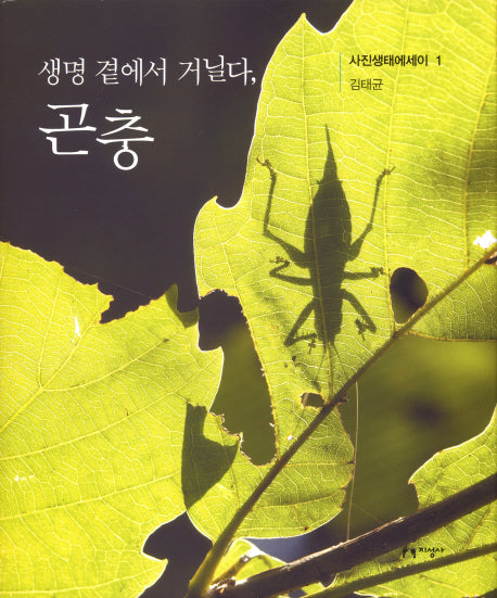 생명 곁에서 거닐다 곤충(사진생태에세이 1)(양장본 HardCover)