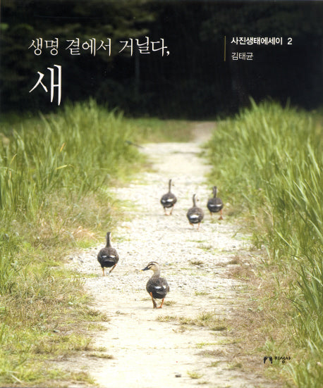 생명 곁에서 거닐다 새(사진생태에세이 2)(양장본 HardCover)