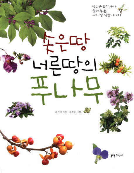솟은 땅 너른땅의 푸나무