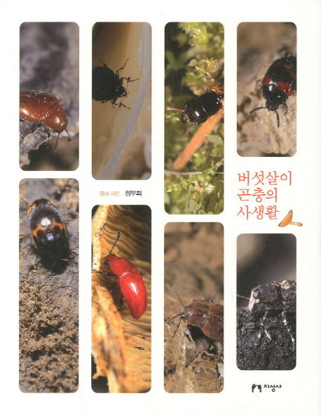 버섯살이 곤충의 사생활(양장본 HardCover)