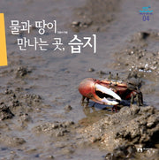물과 땅이 만나는 곳 습지(과학으로 보는 바다 4)