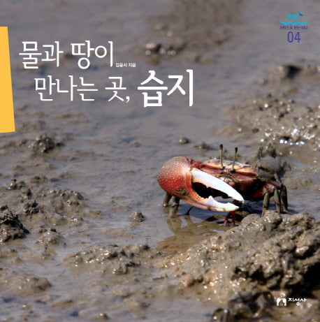 물과 땅이 만나는 곳 습지(과학으로 보는 바다 4)