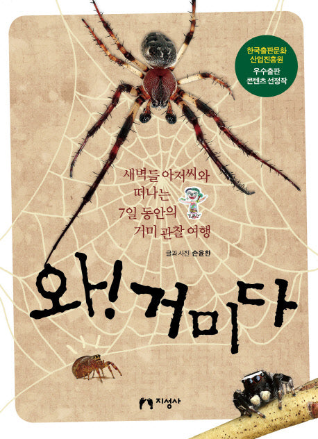 와! 거미다