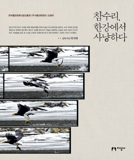 참수리, 한강에서 사냥하다