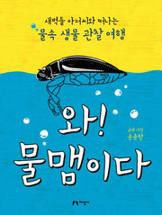 와! 물맴이다
