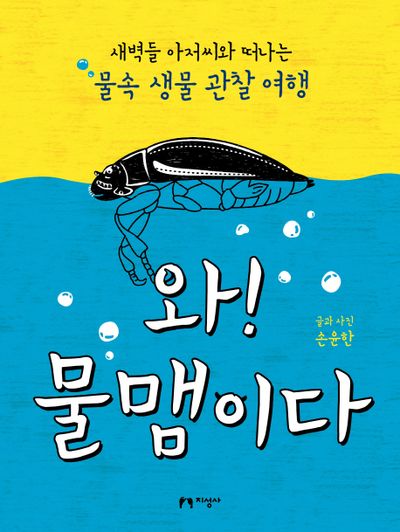 와! 물맴이다