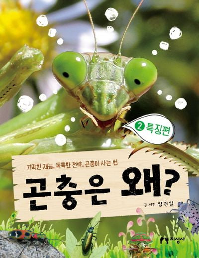 곤충은 왜? 2: 특징편