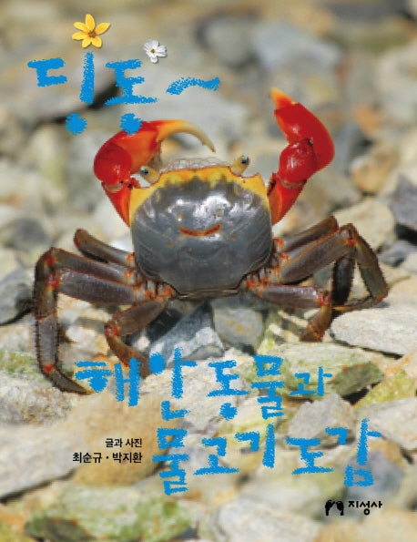 딩동~ 해안 동물과 물고기 도감