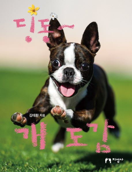딩동~ 개 도감