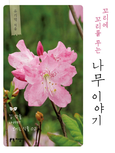 꼬리에 꼬리를 무는 나무 이야기(집 밖을 나서면 보이는 식물 2)