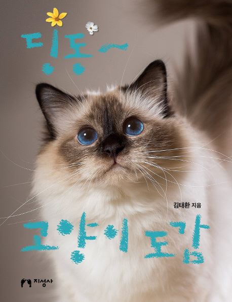 딩동~ 고양이 도감
