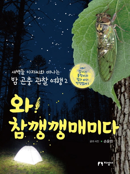 와! 참깽깽매미다(새벽들 아저씨와 떠나는 밤 곤충 관찰 여행 2)