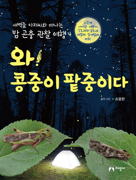 와! 콩중이 팥중이다(새벽들 아저씨와 떠나는 밤 곤충 관찰 여행 4)