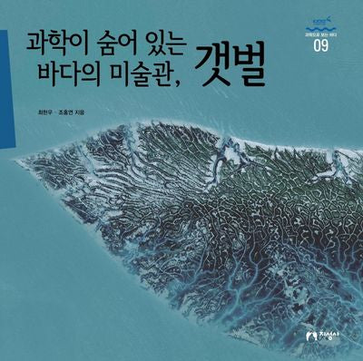 과학이 숨어 있는 바다의 미술관, 갯벌(과학으로 보는 바다 9)