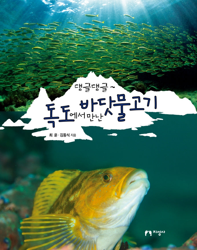 독도에서 만난 바닷물고기(댕글댕글~)(양장본 Hardcover)
